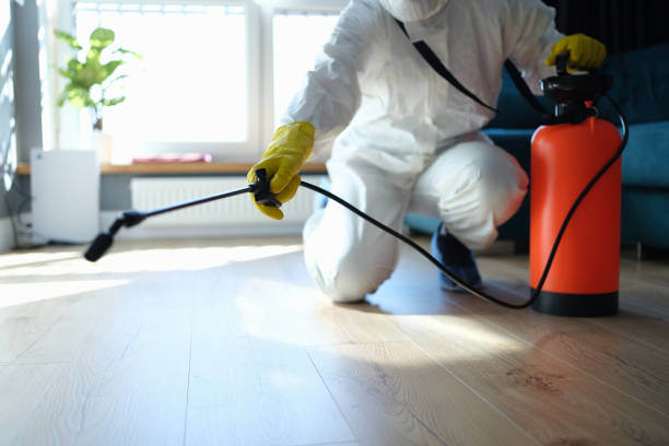 Reliable Odor Removal contractor in Jonesboro, IL by Crime Scene Cleaner Online