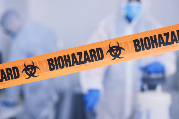 Professional Odor Removal technician working in Jonesboro, IL